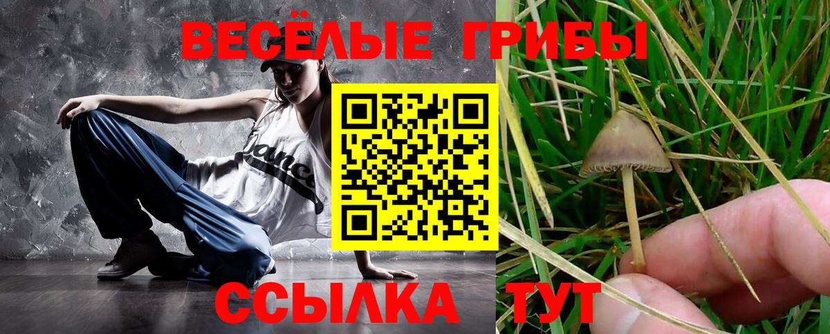 Ленинск-Кузнецкий  Галлюциногенные грибы GOLDEN TEACHER  Вход с VPN 